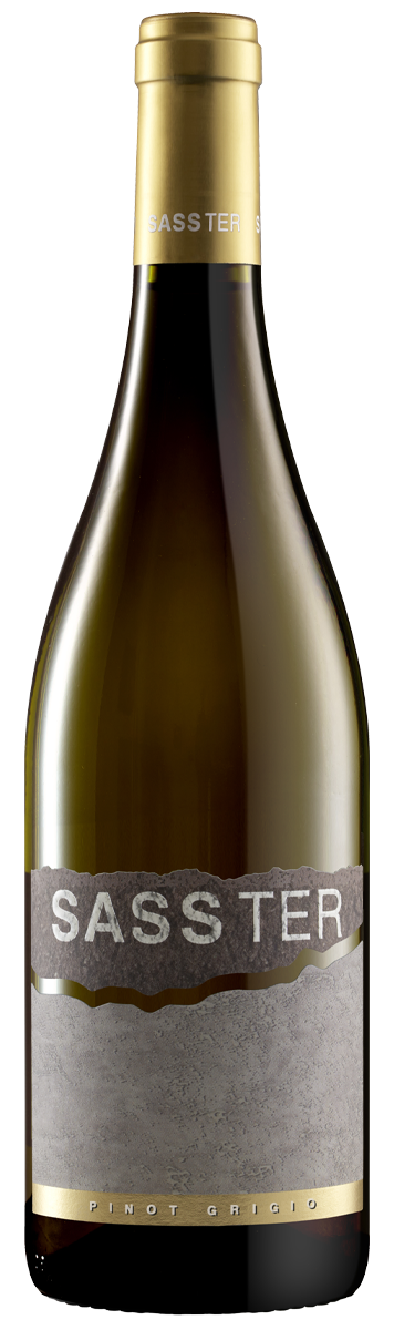 Pinot Grigio Friuli DOC Sass Ter